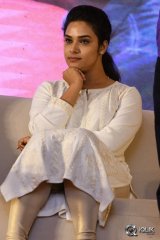 A Aa Movie Success Meet